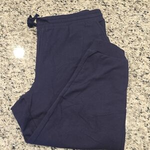 Torrid Fleece Deep Blue Joggers 131